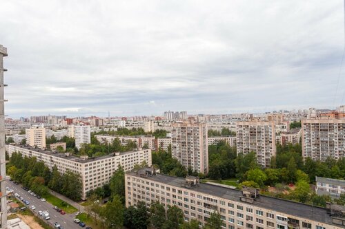 Апарт МишЛен на проспекте Просвещения 43  фото 3