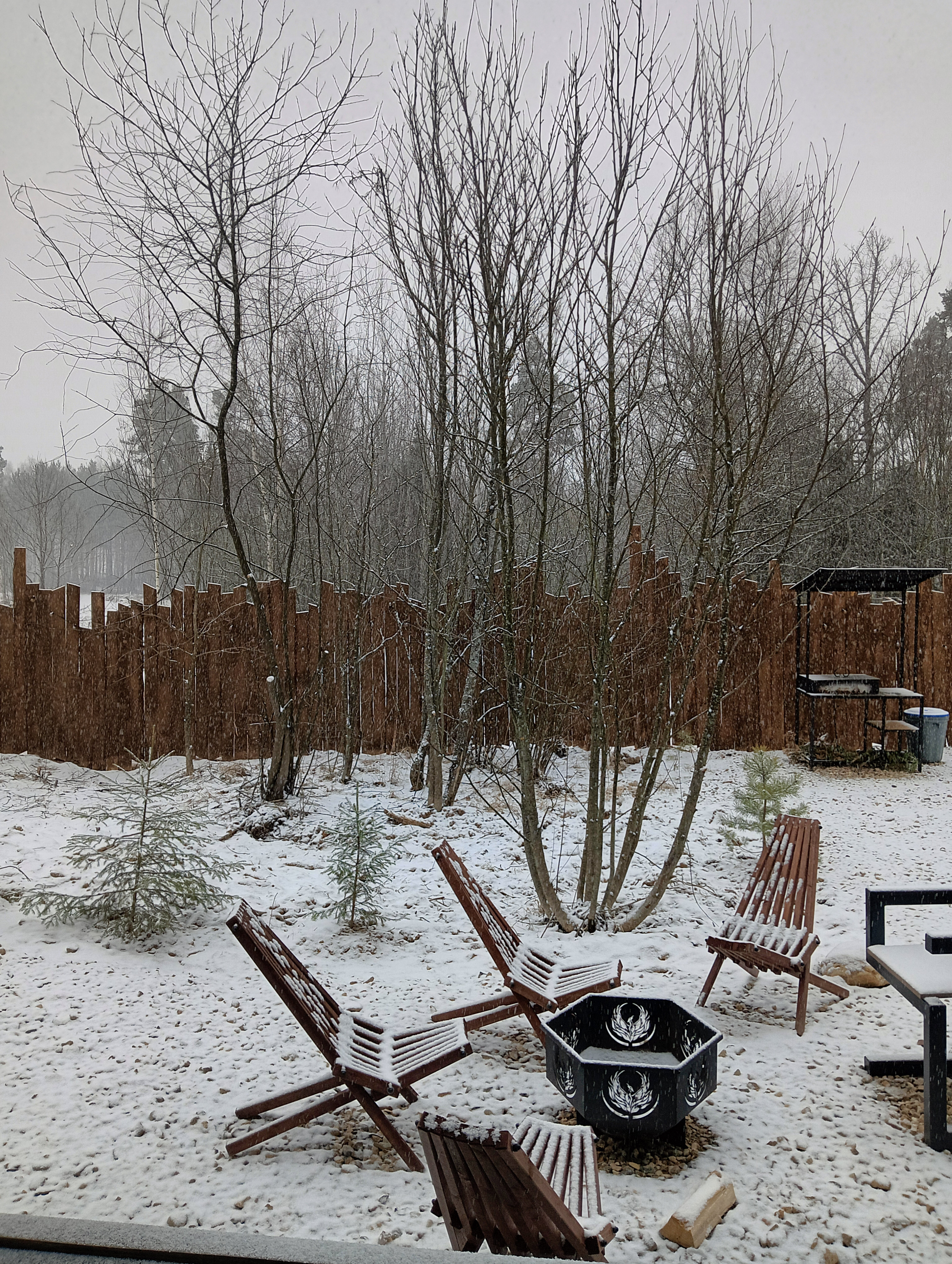 Фото Ягодка Малинка