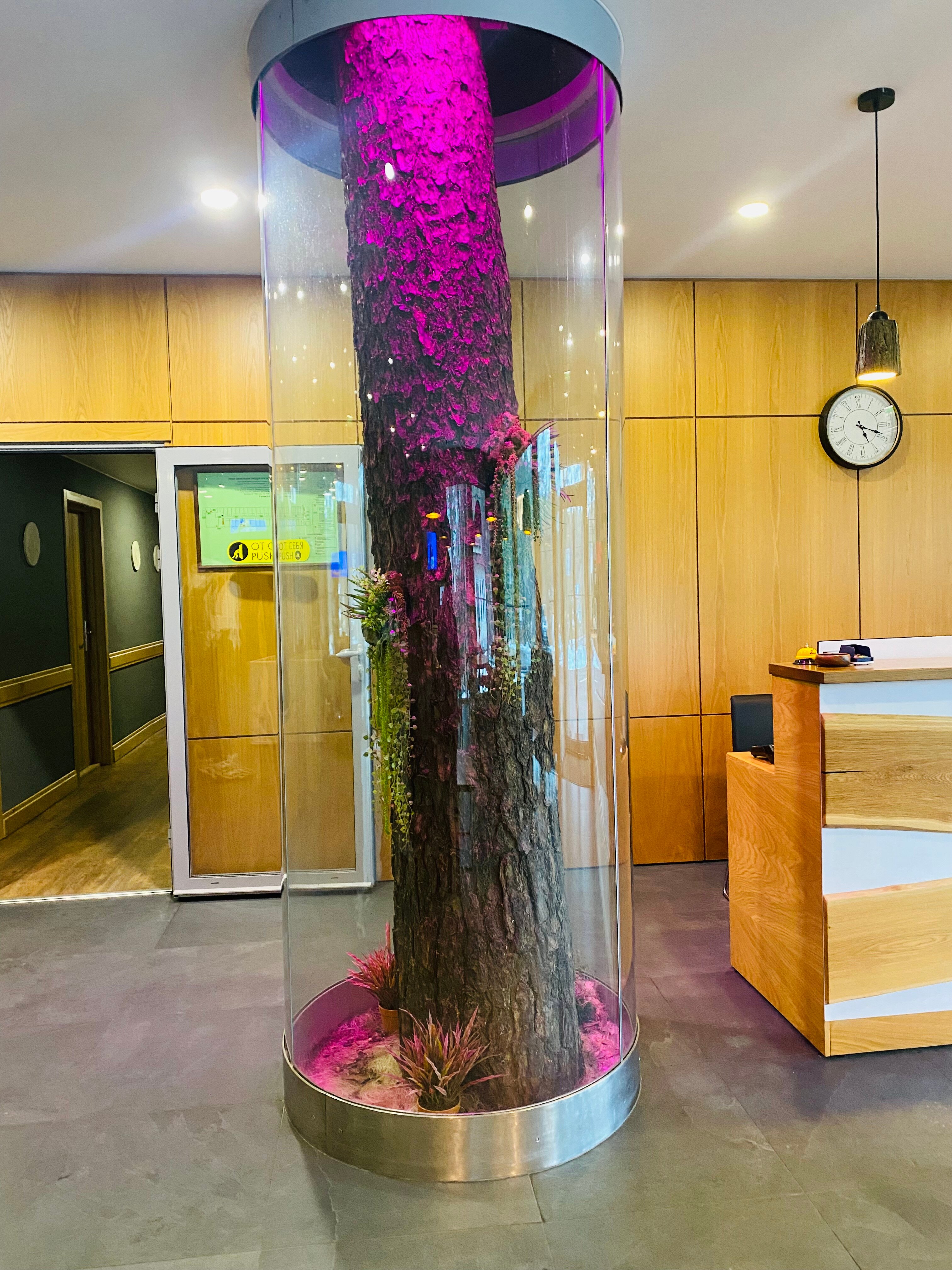 Фото Черничный Берег