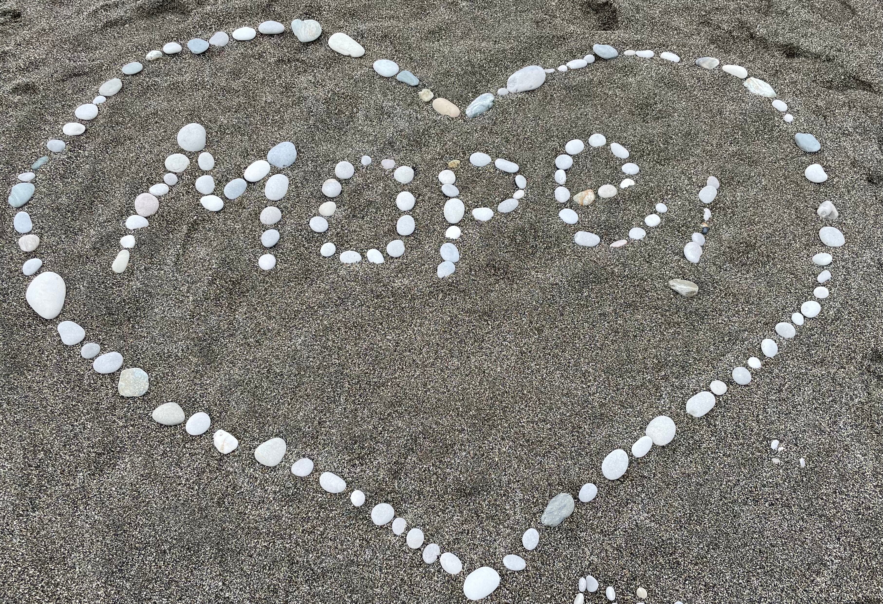 Фото Династия