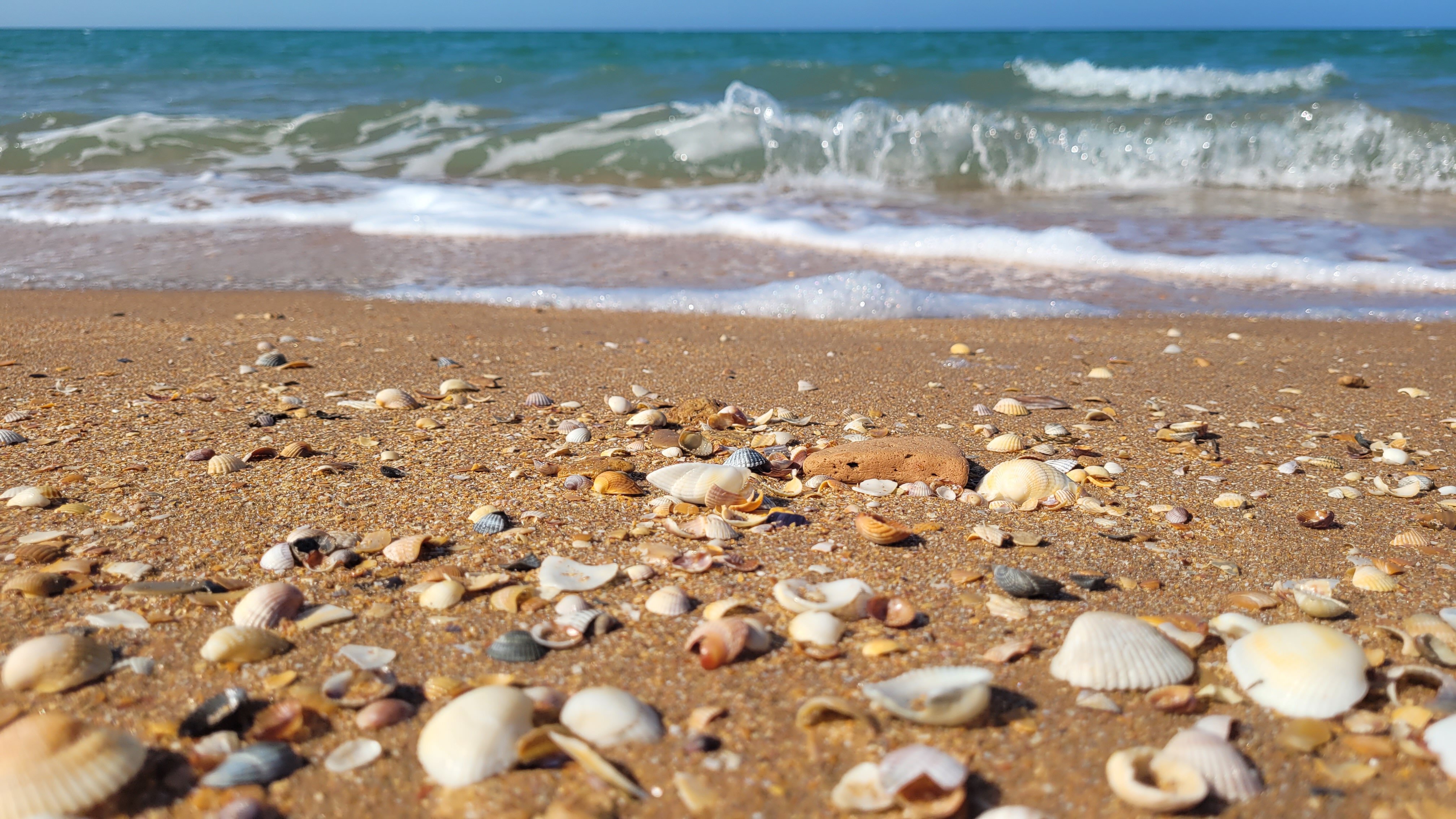 Фото Меотида