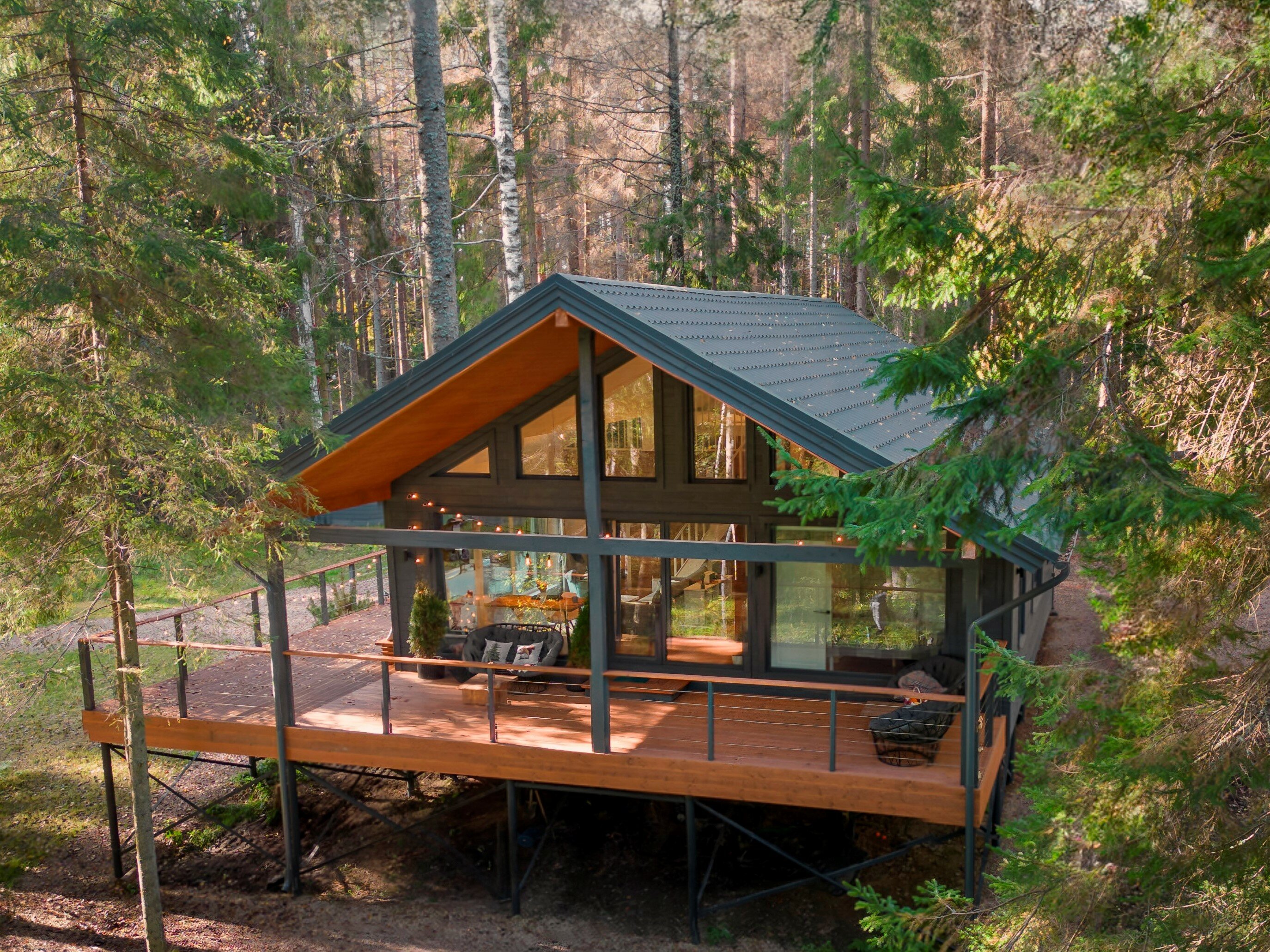 Фото Fox in forest