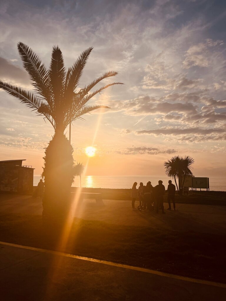 Place for picnic Bench, Batumi, photo