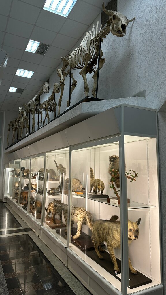 Museum Музей биологического факультета БГУ, Minsk, photo