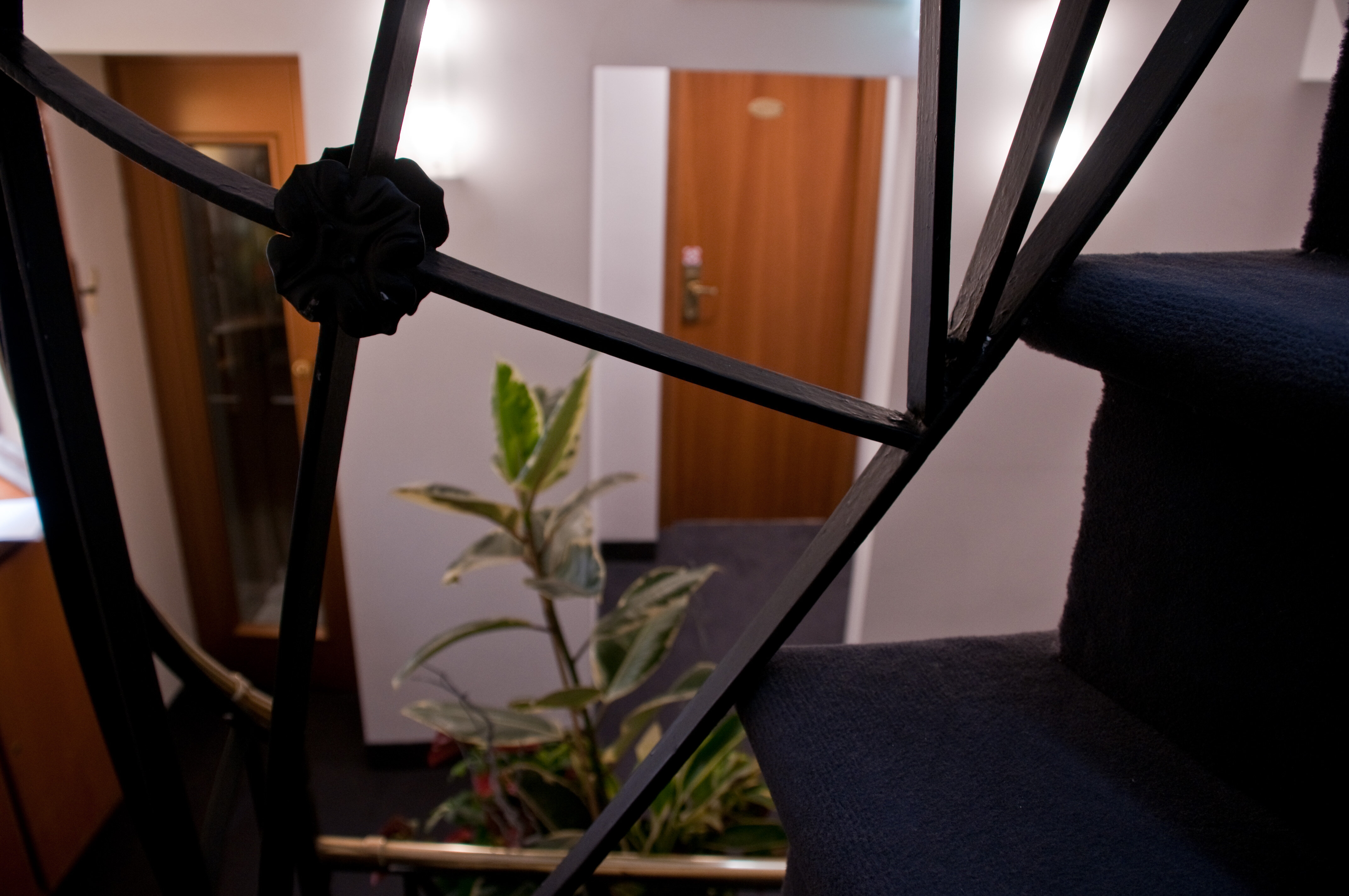 Фото Hotel Concordia