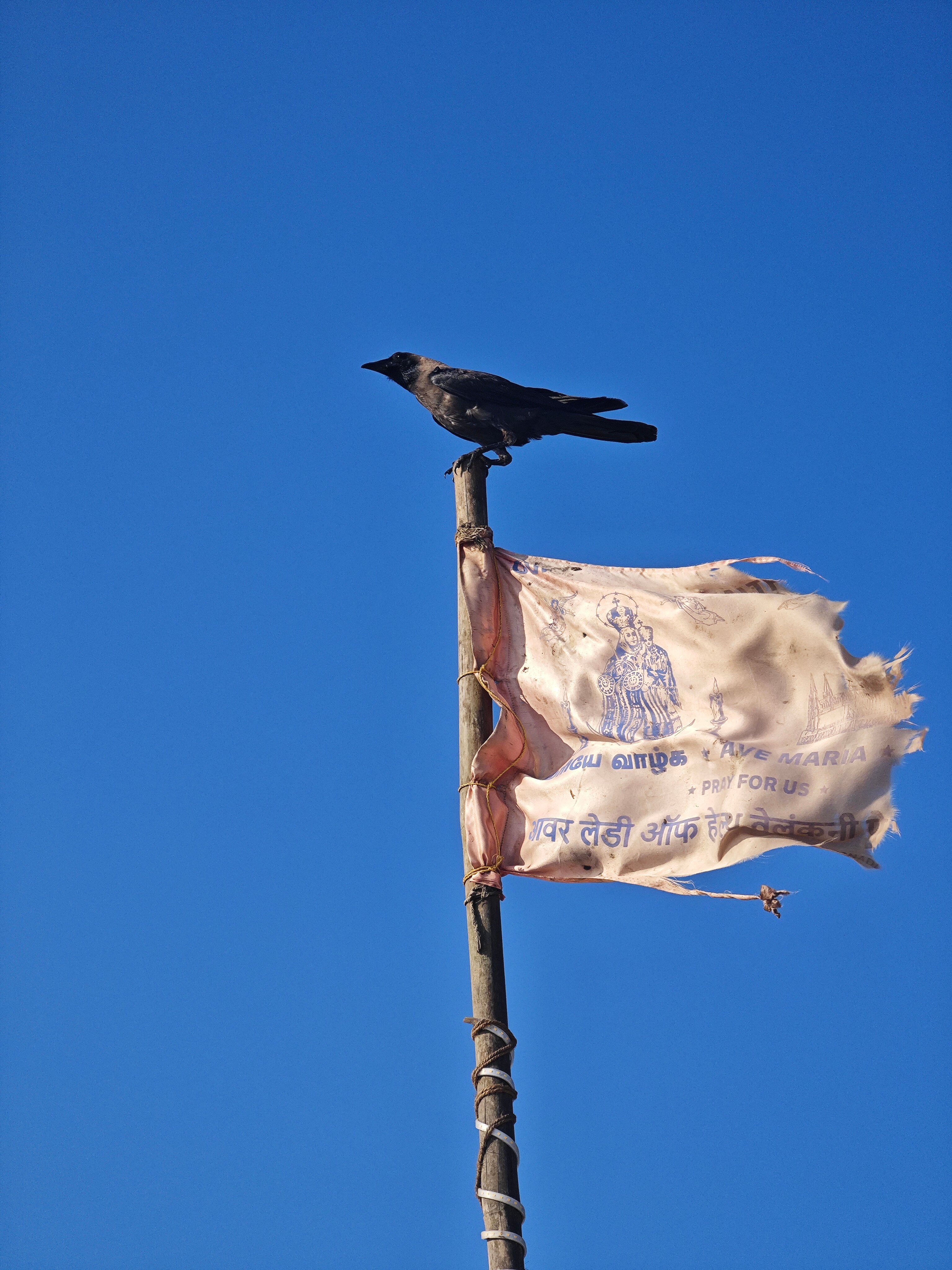 Фото Country Inn Tarika Goa, Varca Beach