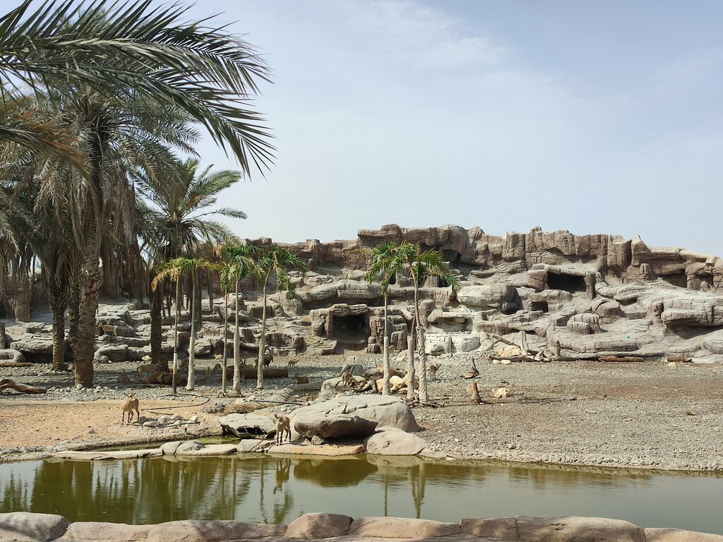 Zoo Arabia's Wildlife Centre, Emirate of Sharjah, photo