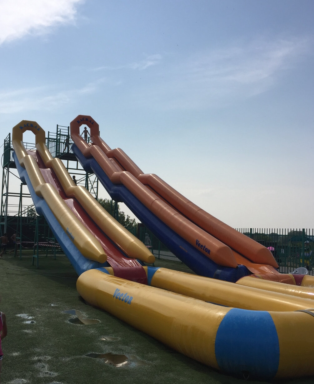 Фото Дубрава