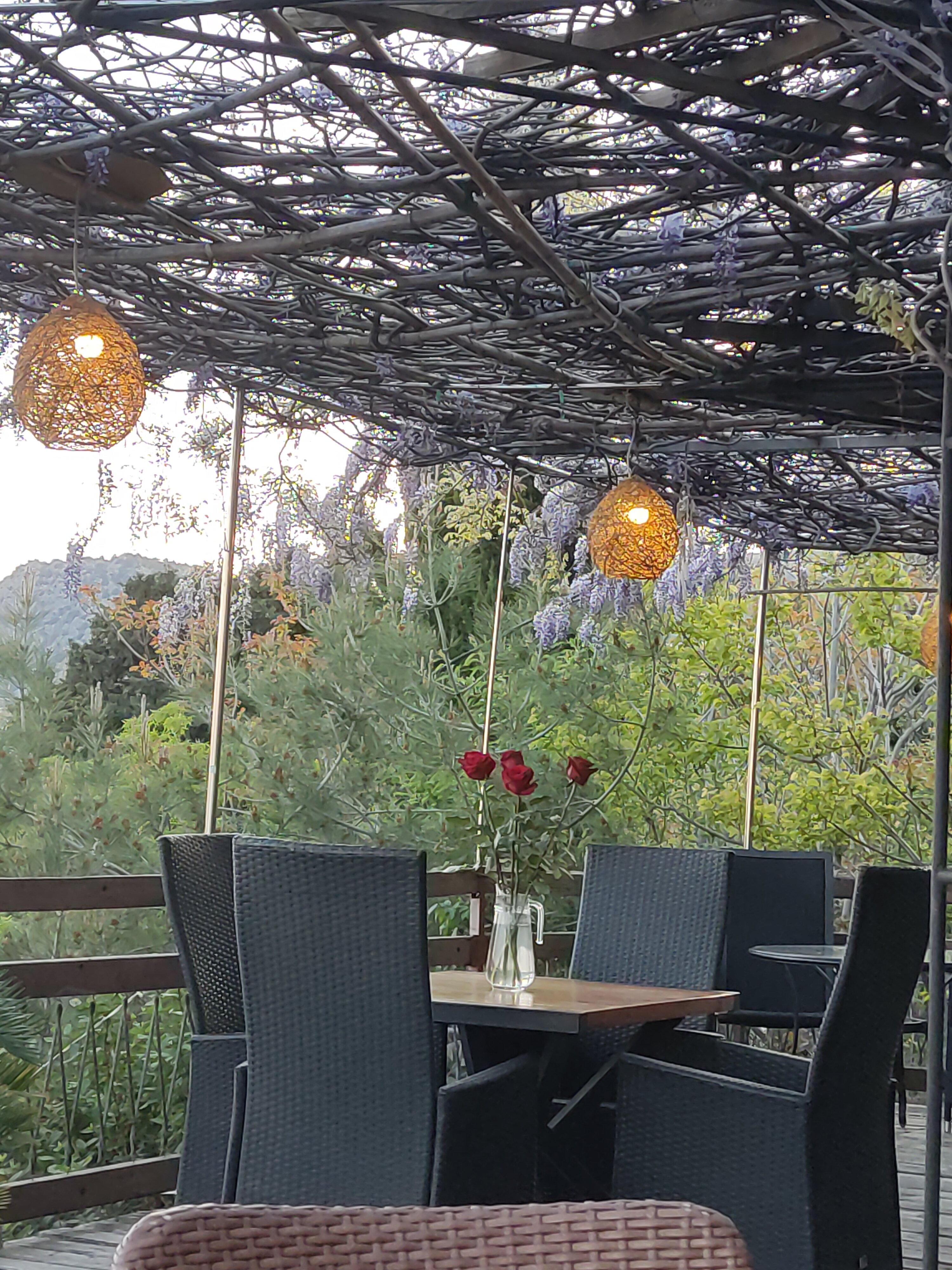 Фото Парк Симеиз