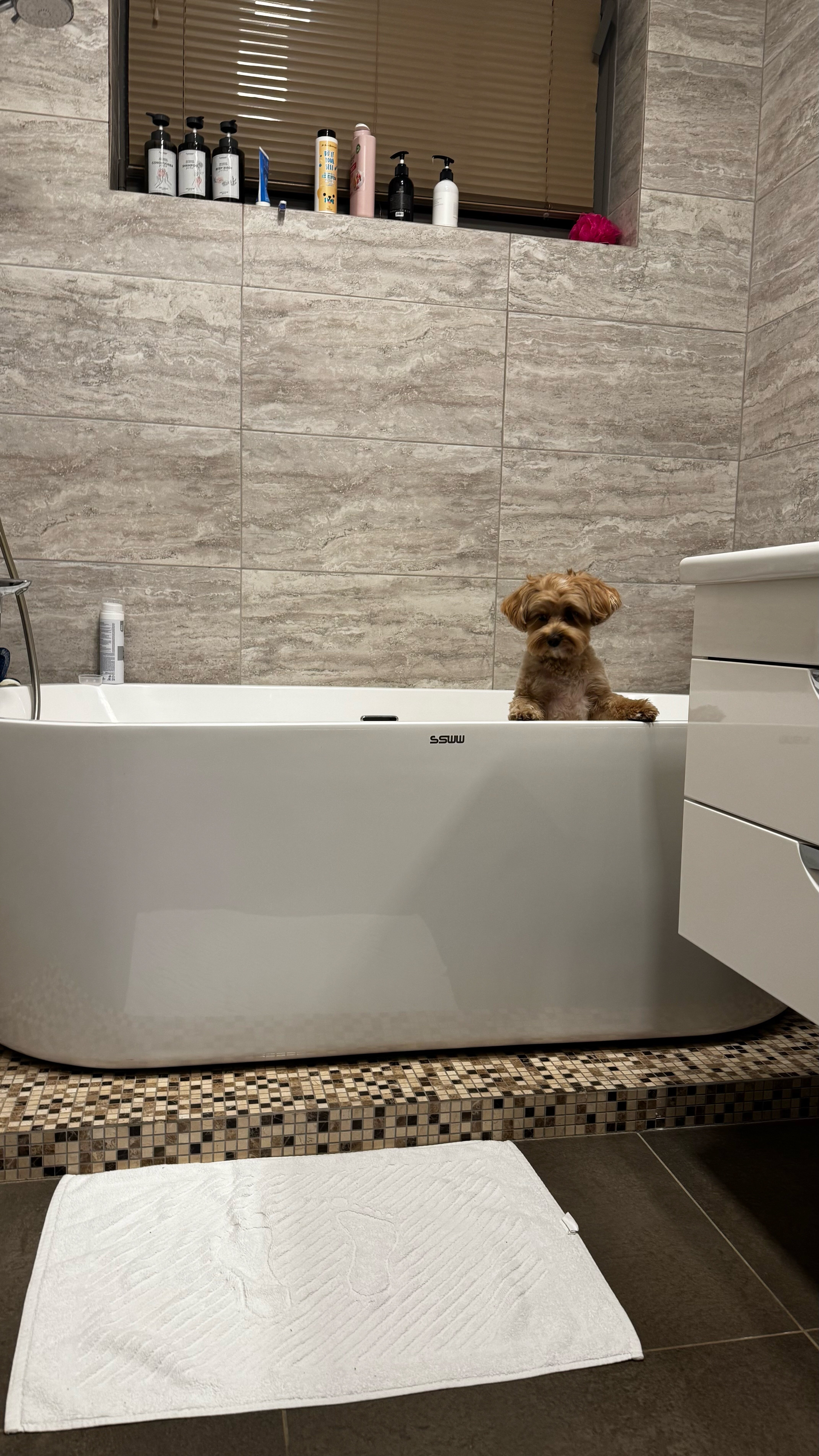 Фото Куб в Кубе