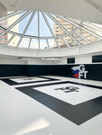 Brazilian Jiu Jitsu Academy GFTeam Russia (Akademika Anokhina Street, 58), club deportivo, sección
