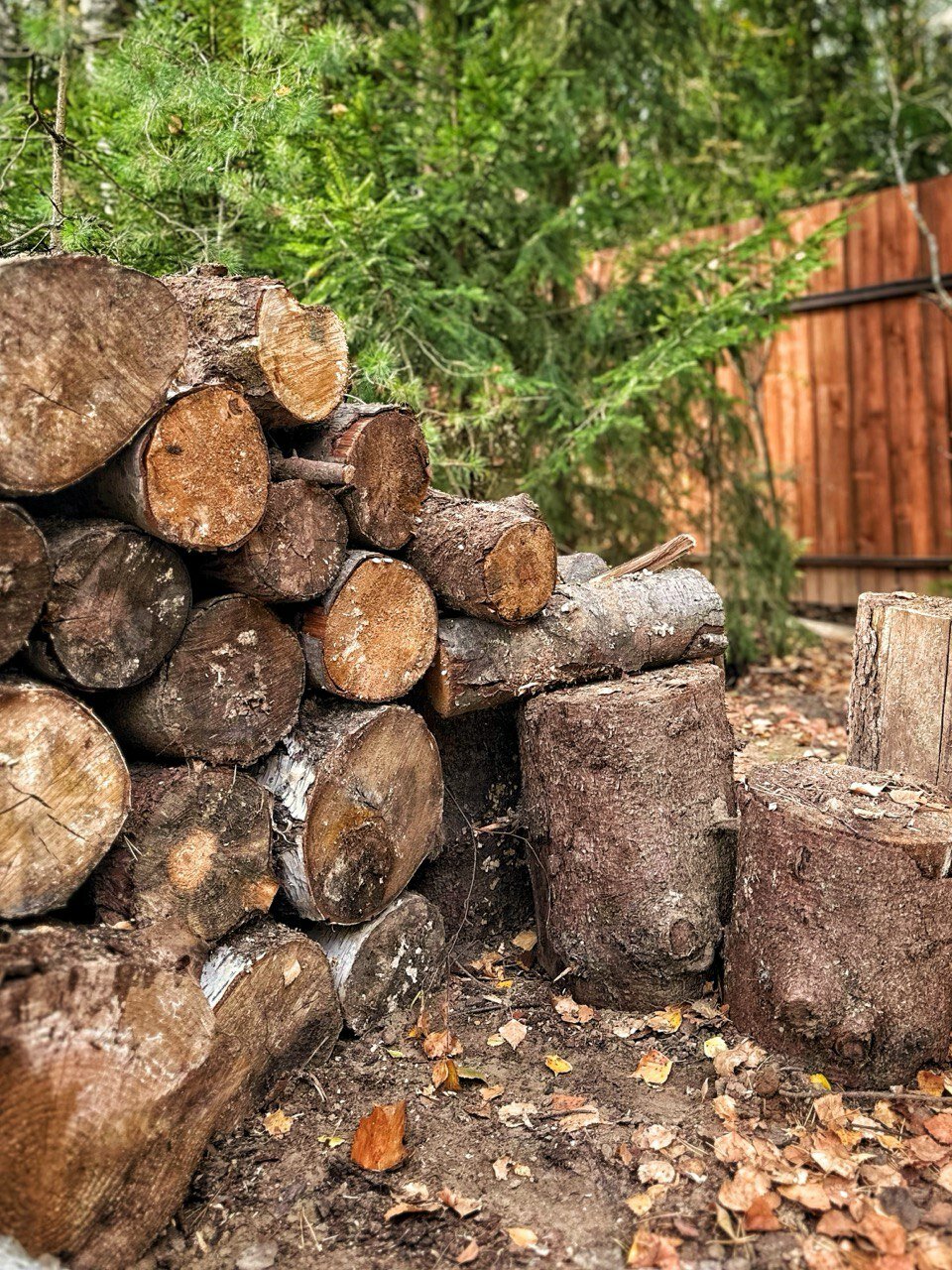 Фото Влодеево