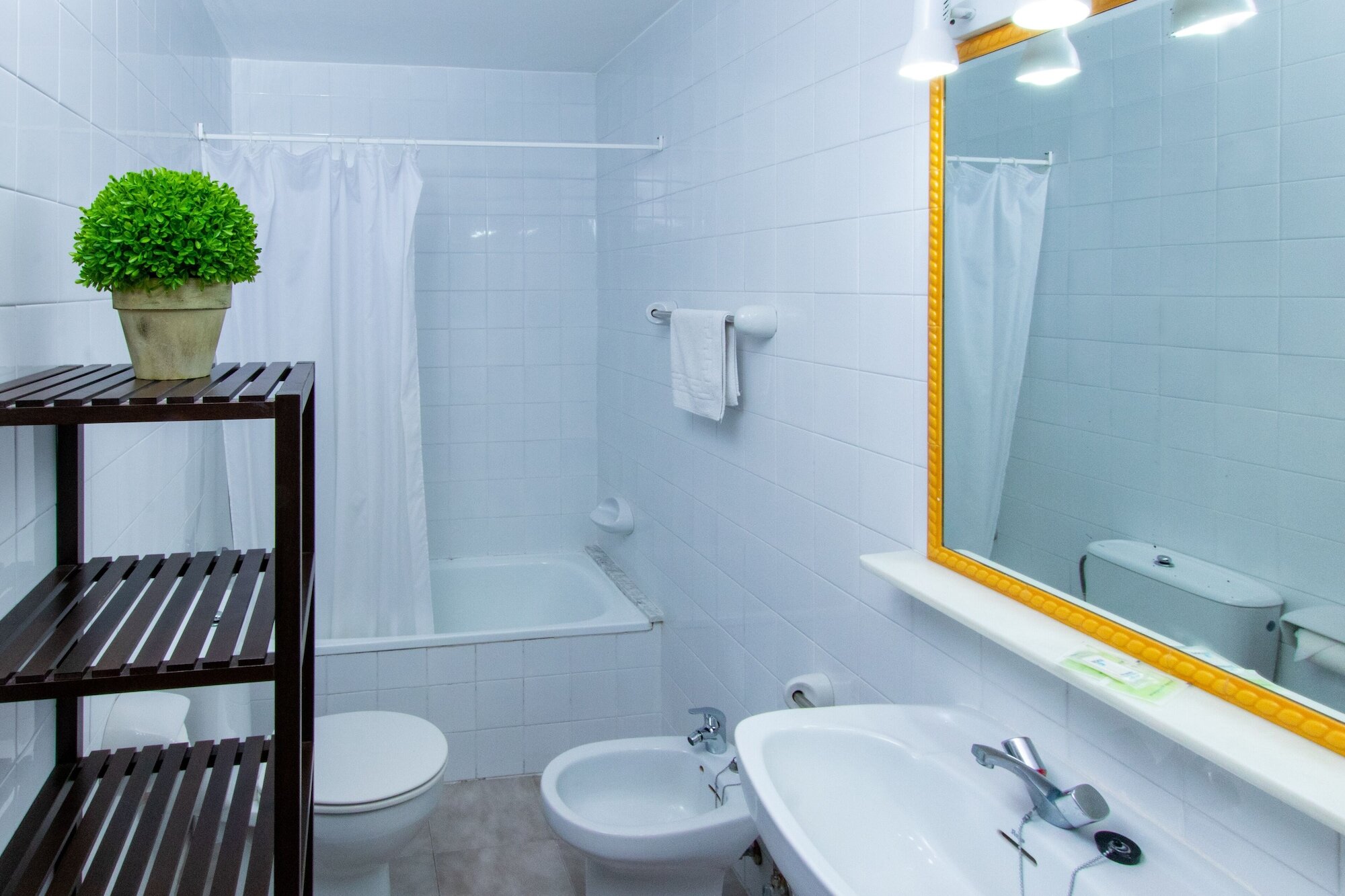 Фото Apartamentos San Pedro