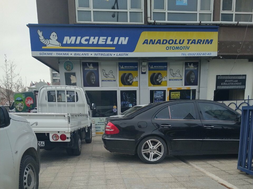 Jant ve lastikçiler Michelin - Anadolu Tarım, Konya, foto