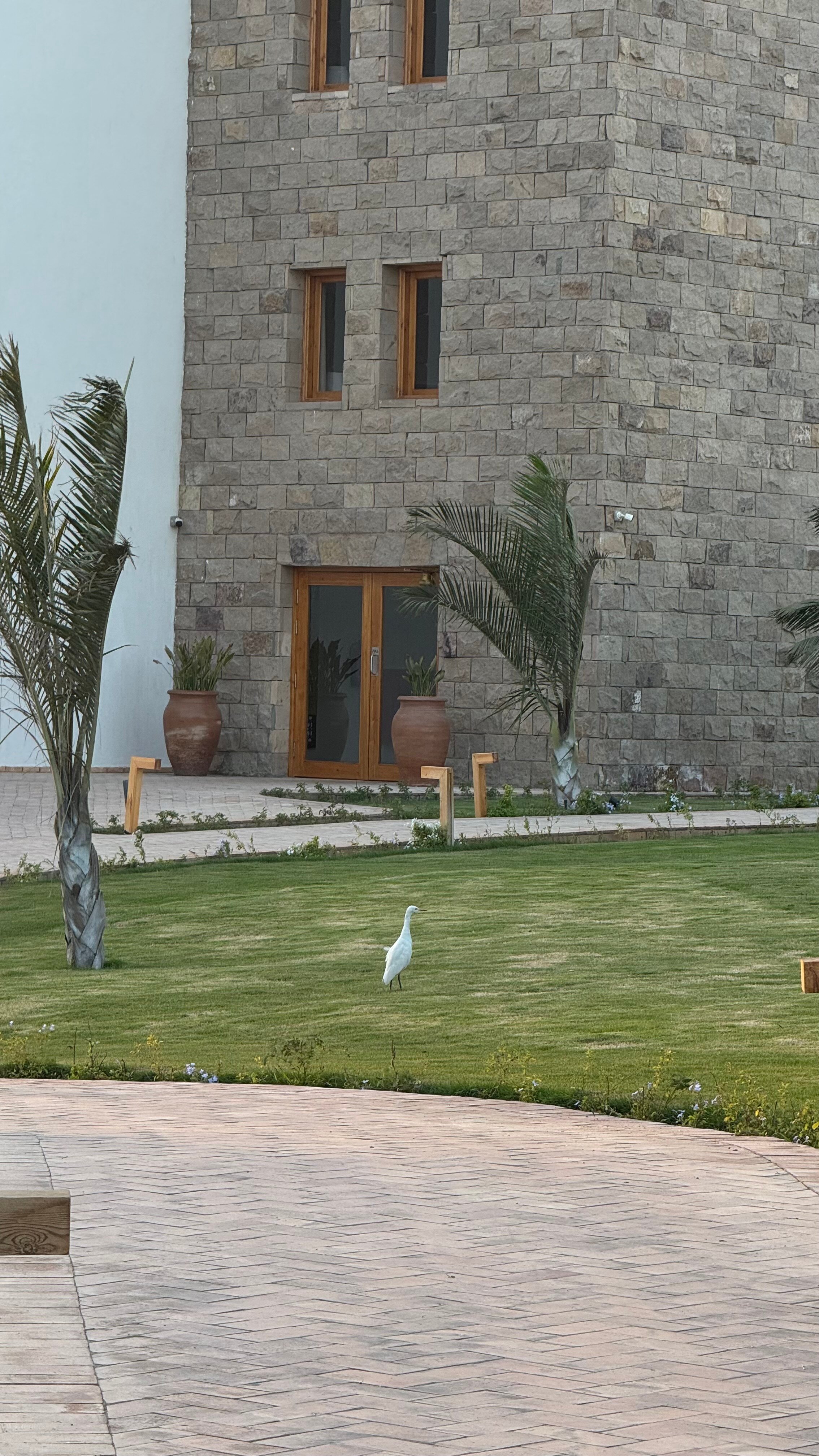 Фото Fort Arabesque Resort, SPA & Villas