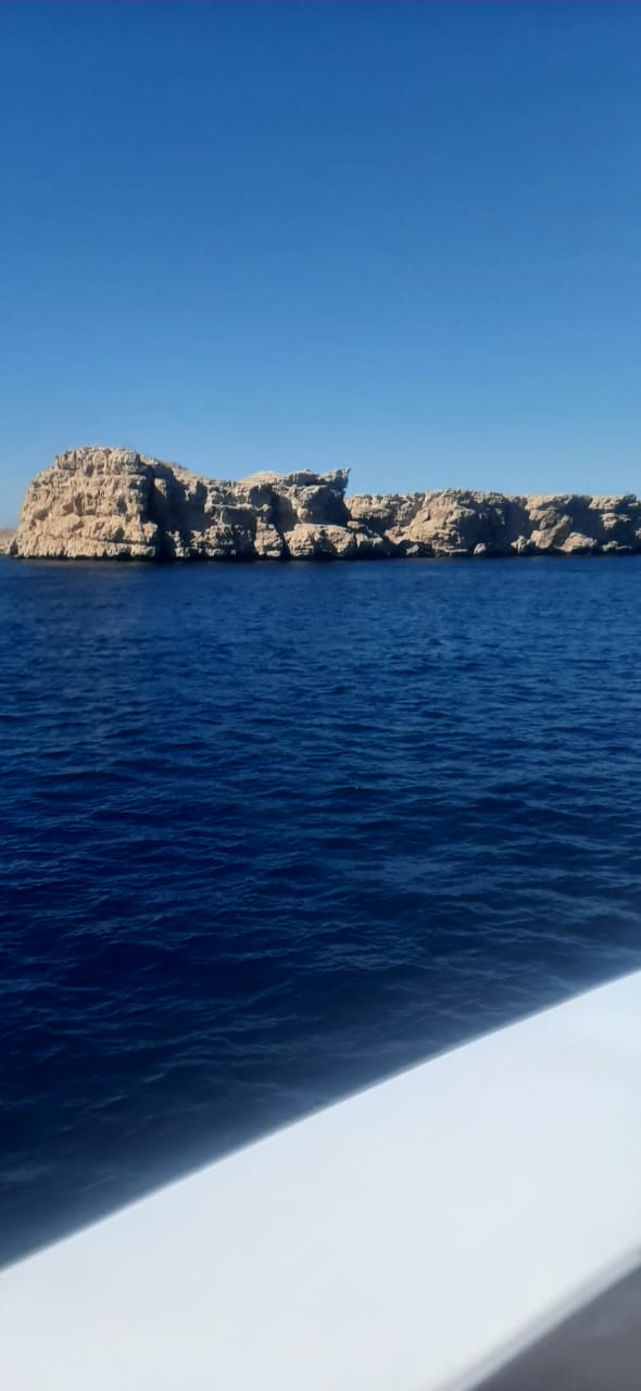 Фото Naama Blue Hotel