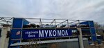 Мукомол (Saratov, Kuzbasskaya ulitsa), water base, boat station