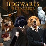 Hogwarts Pet Hairdresser - Pet Shop (Izmir, Konak District, Inonu Avenue, 567), pet shop