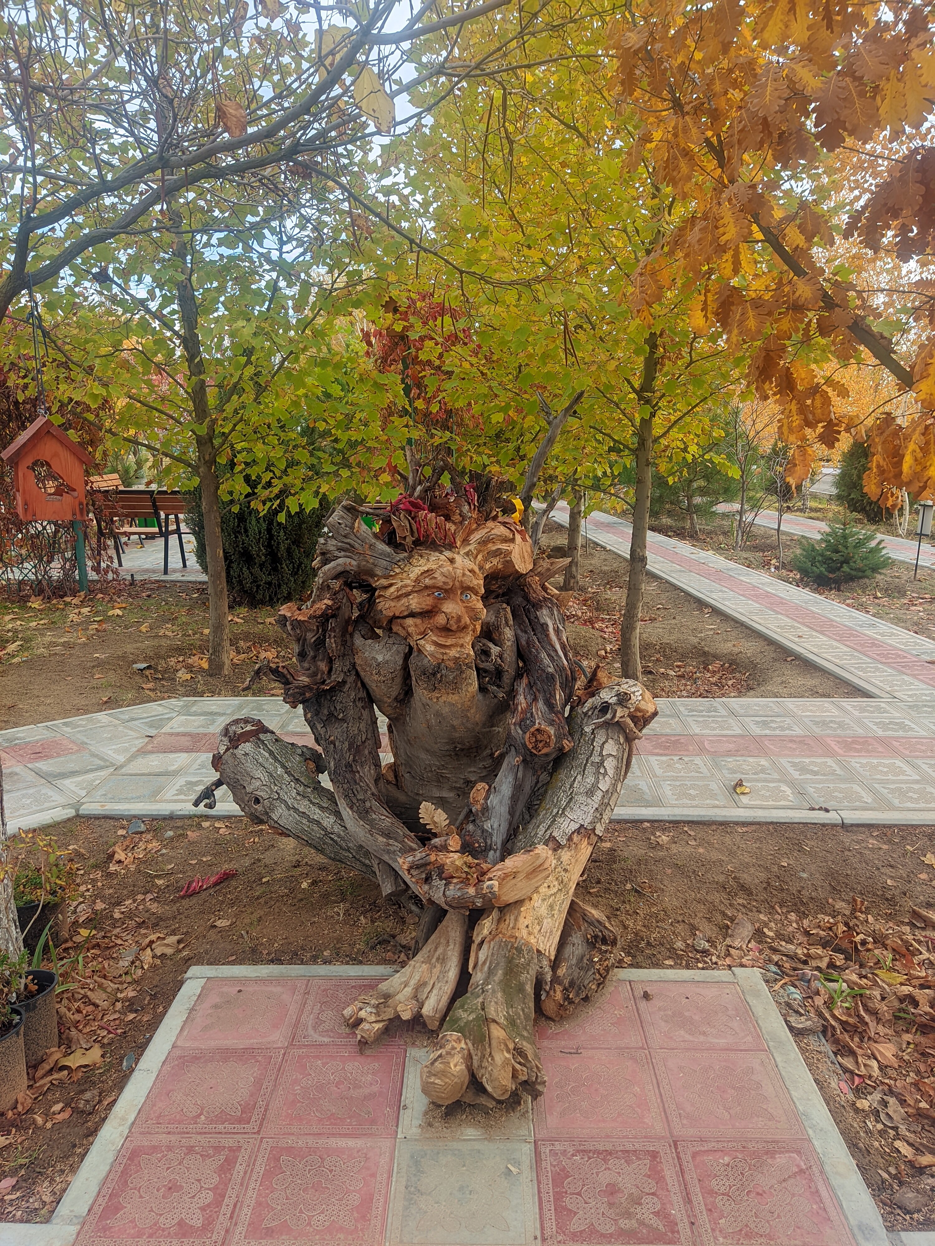 Фото Добриан