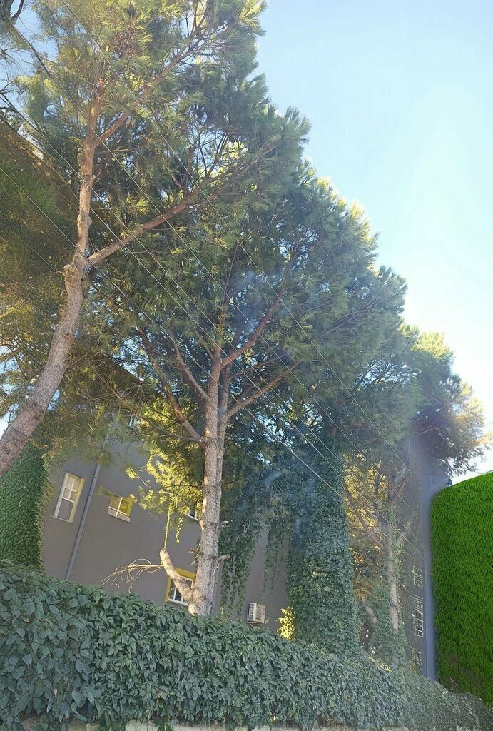 School Yenikoy Ataturk Middle School, Manisa, photo