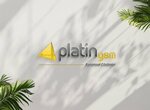 Platinum GSM (Sakarya, Hendek, Republic Square, 29) ، تصليح الهواتف