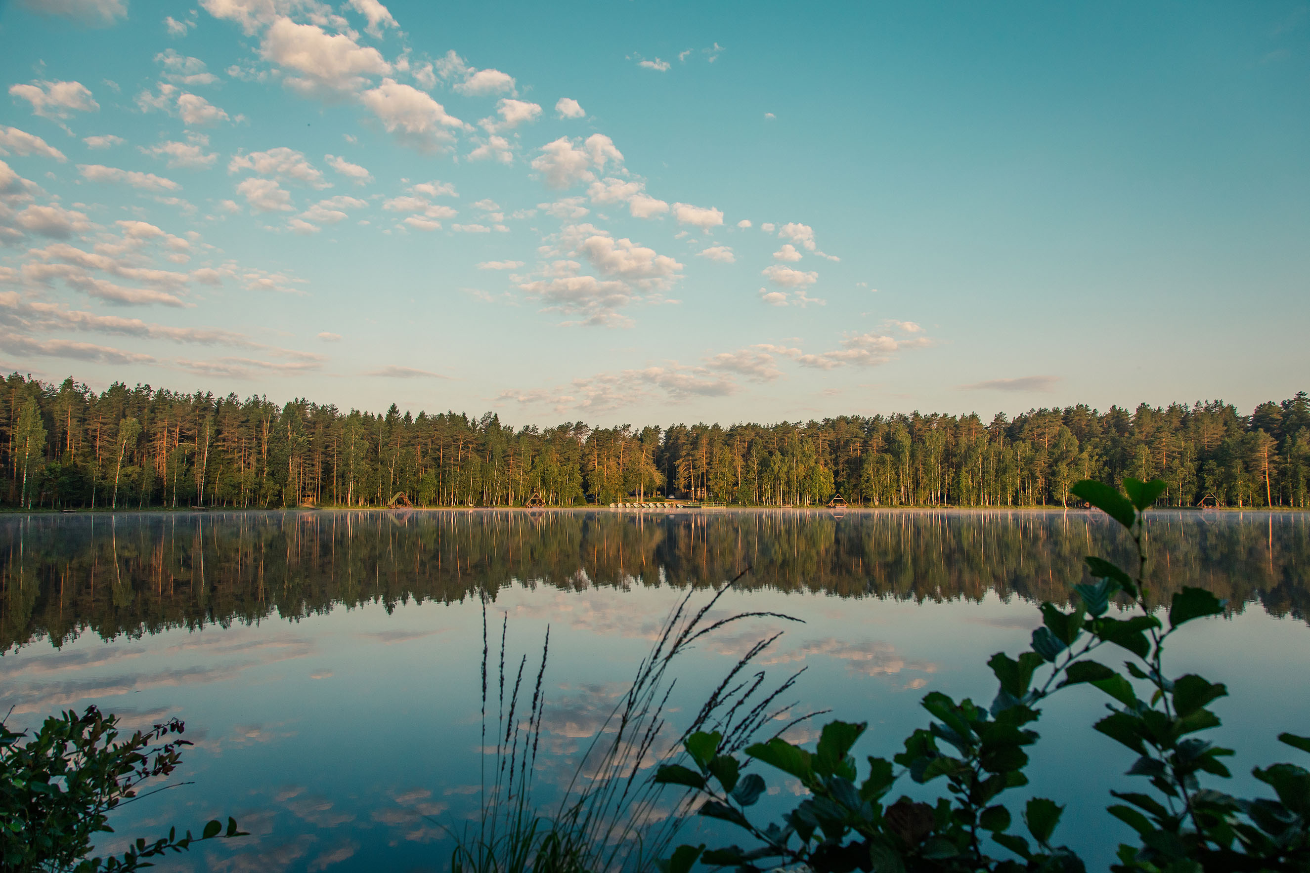 Фото Гармония