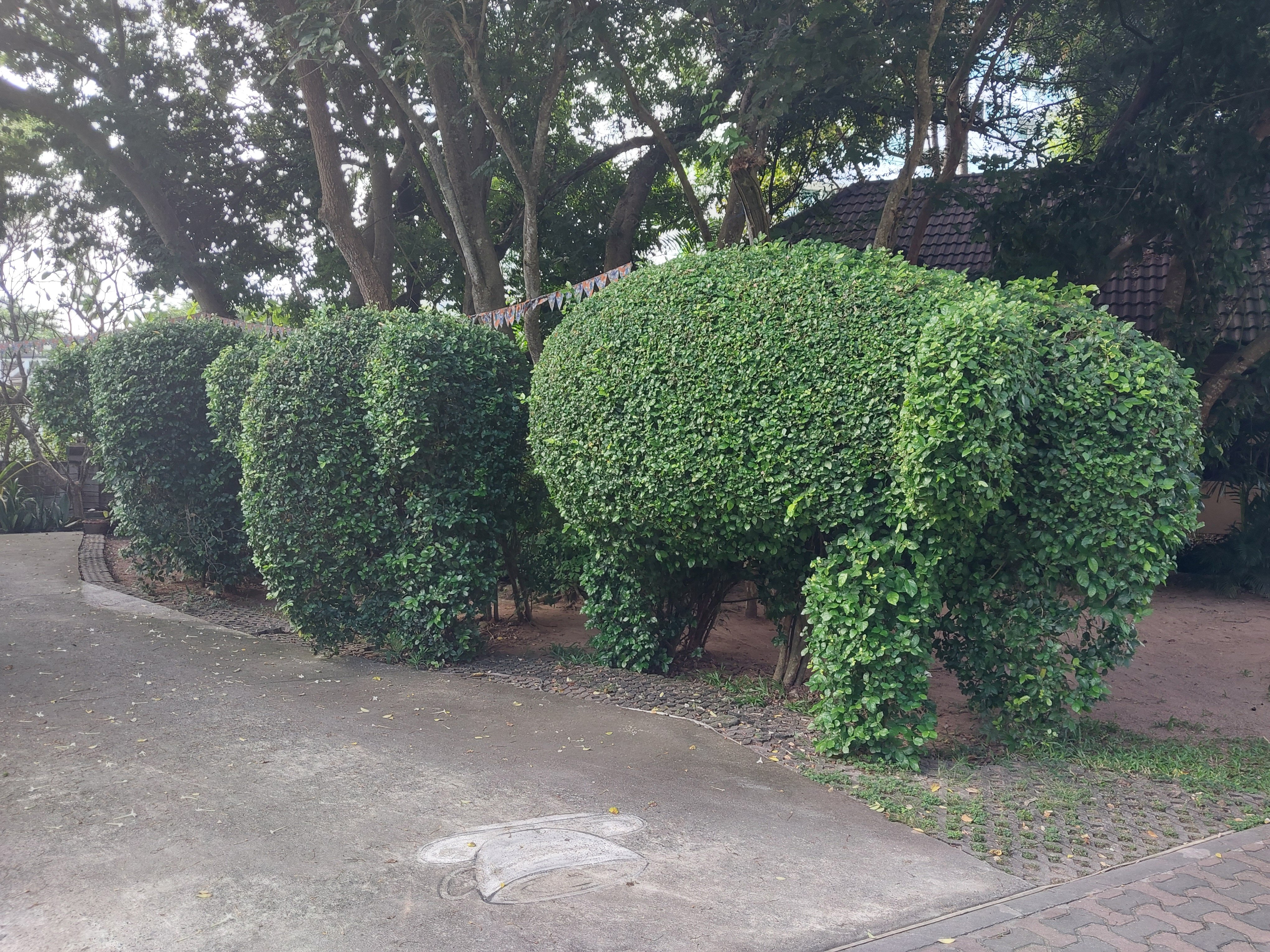 Фото Botany Beach Resort