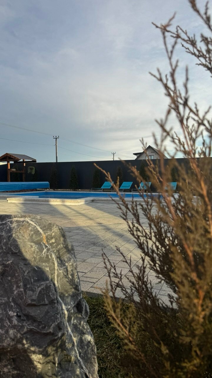 Фото Мур Мур