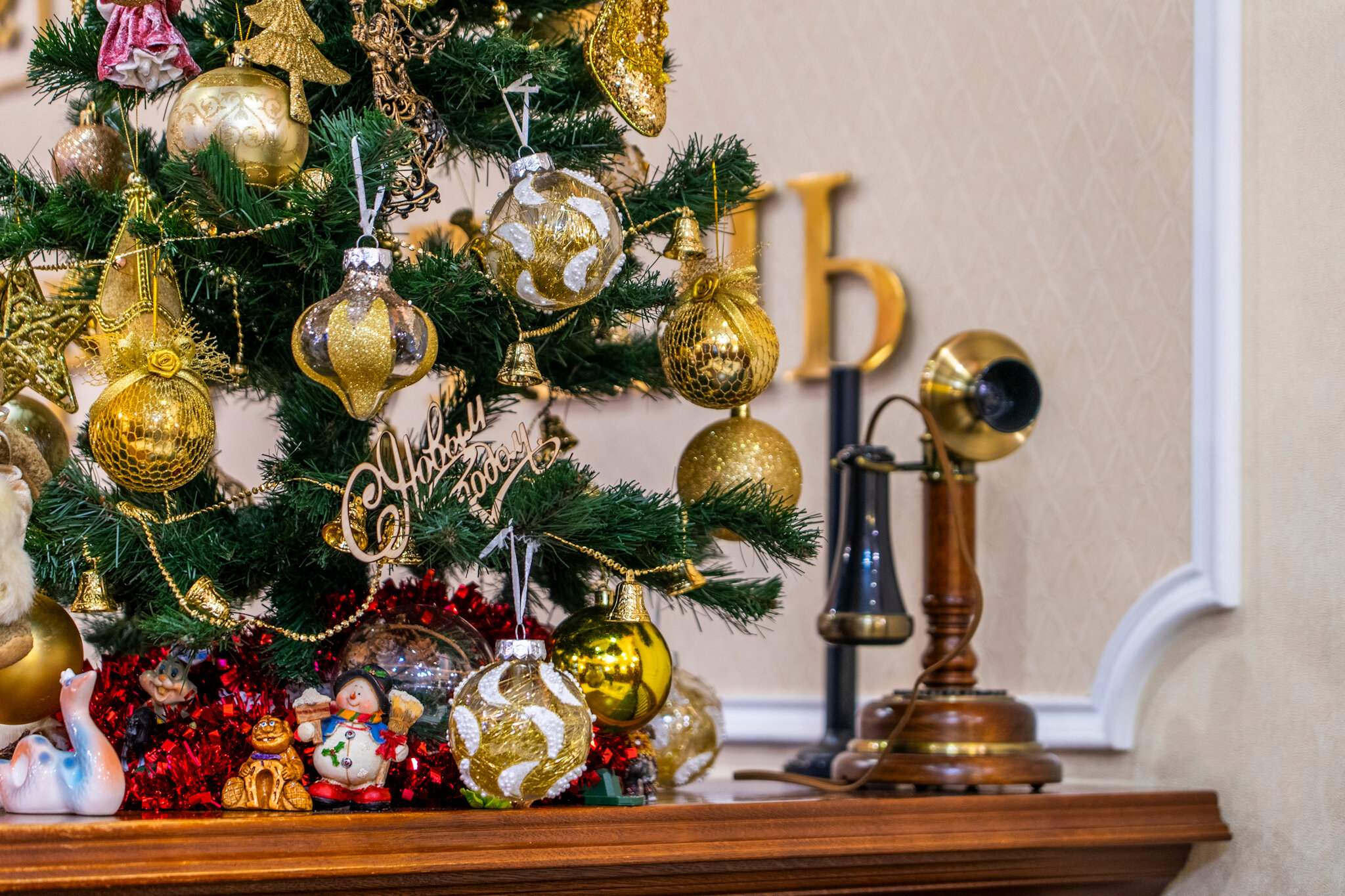 Фото Камердинеръ