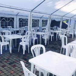 Фото Green Force