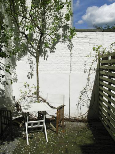 Фото Hotel Trash Deluxe