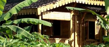 Фото Villa Mandi