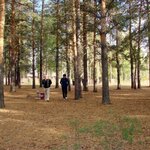 Sosnovy Bor (Al-Farabi Avenue, 65), sanatorium and resort association