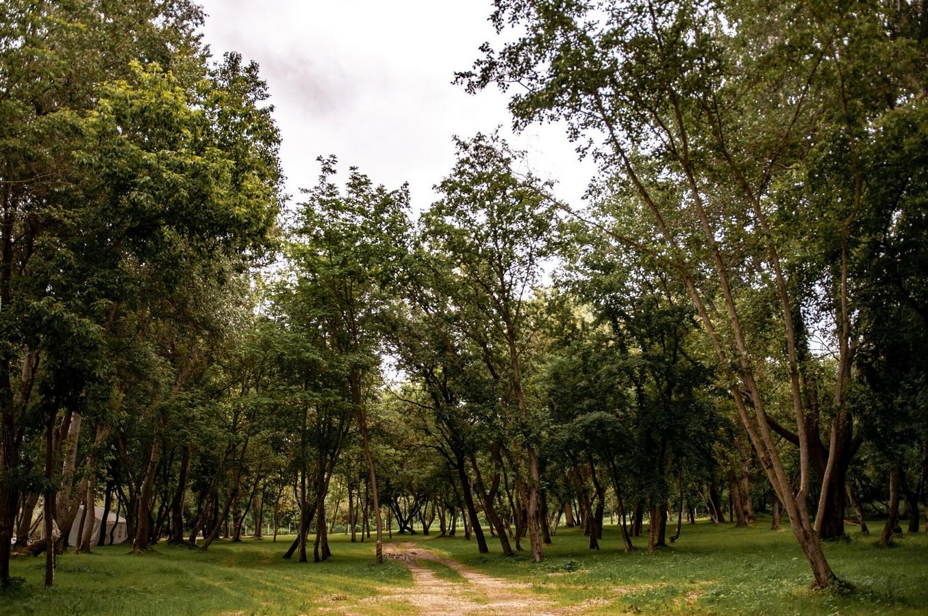 Фото Загородный клуб Лес