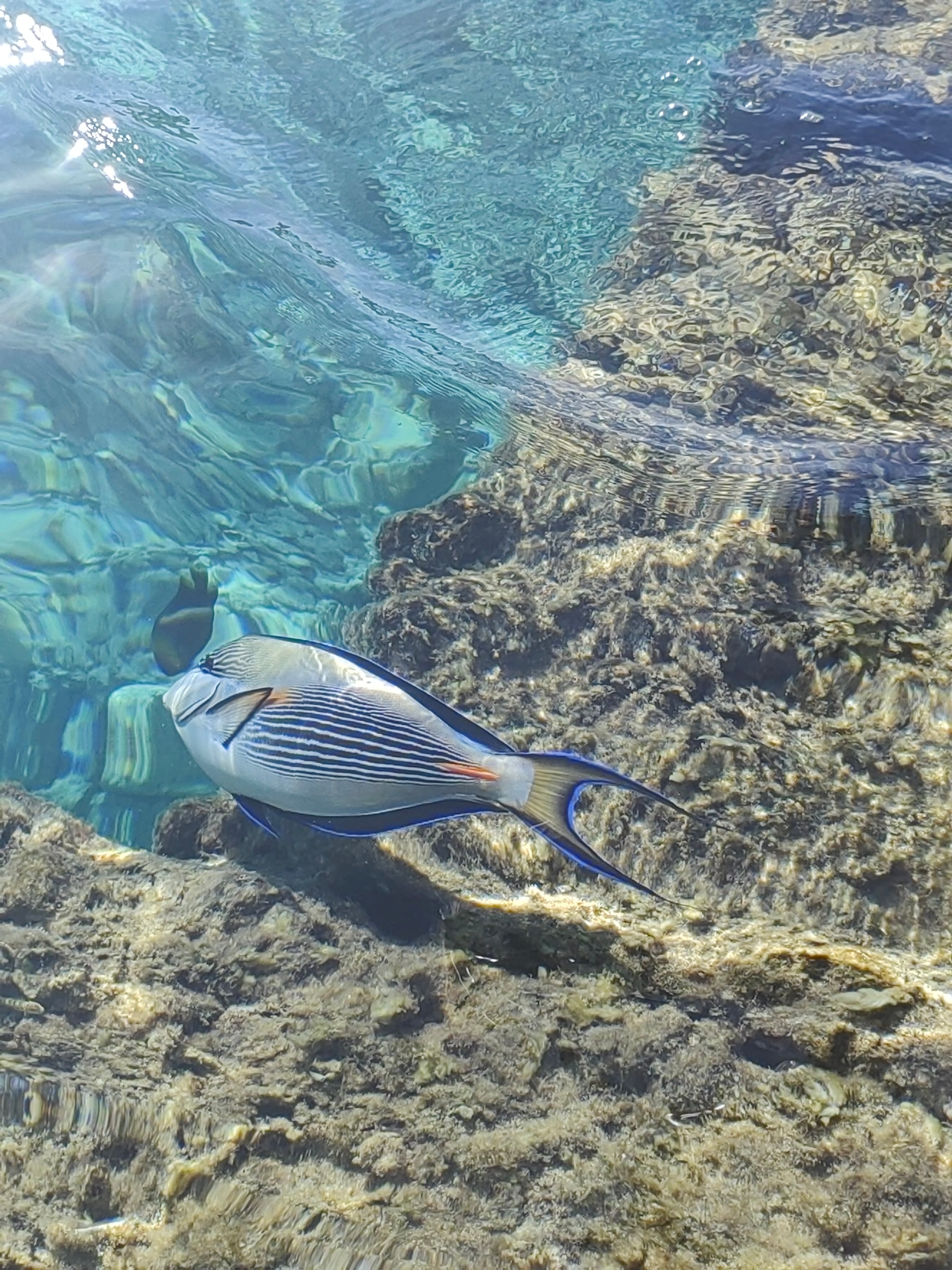 Фото Sunny Days El Palacio Resort & SPA