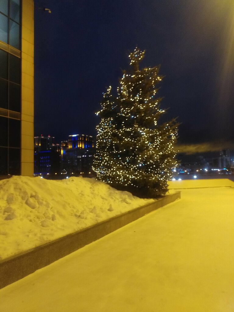City tree Christmas tree, Yekaterinburg, photo
