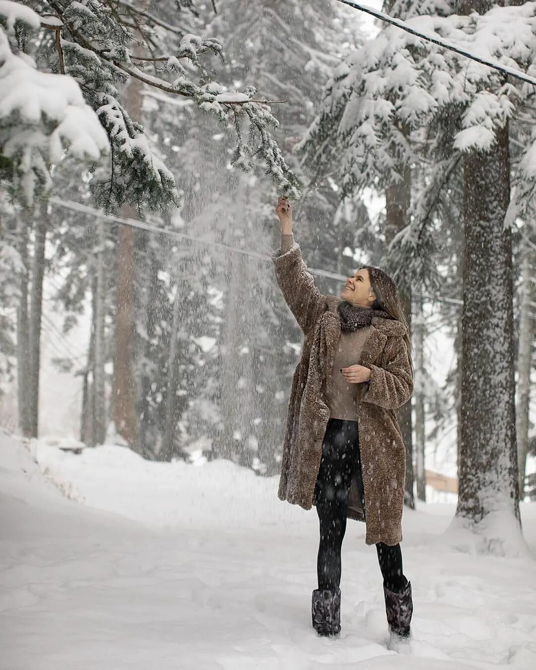 Фото Ёлки House