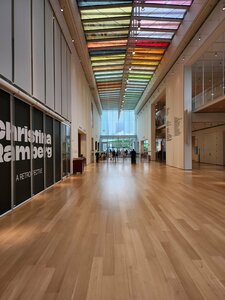 The Art Institute of Chicago (Chicago, South Michigan Avenue, 111), museum