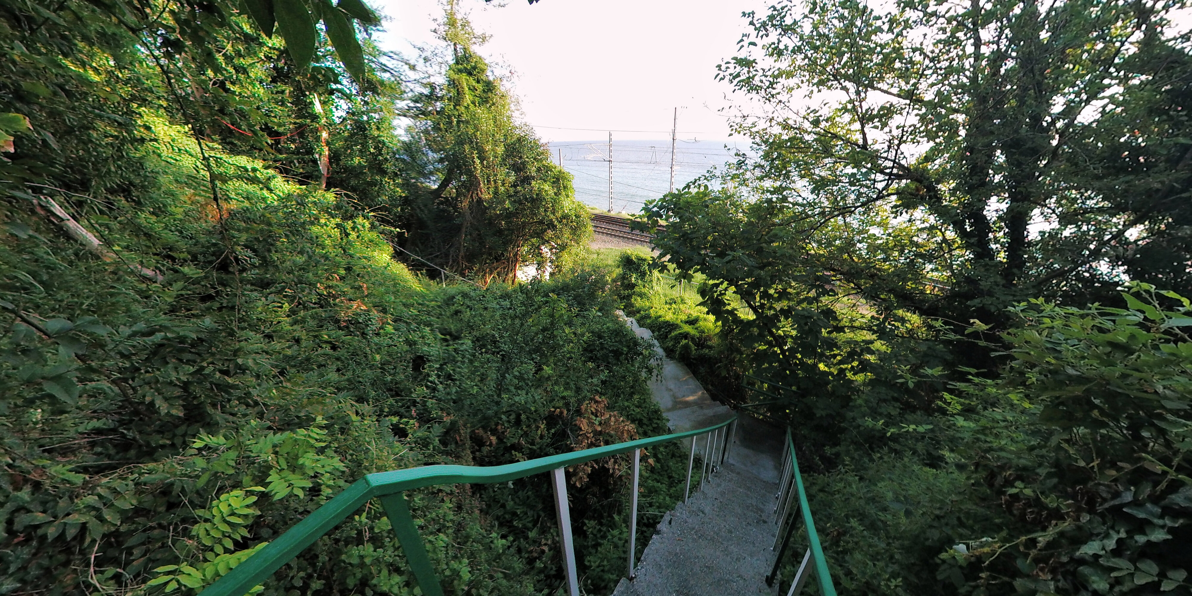 Фото Чемитка