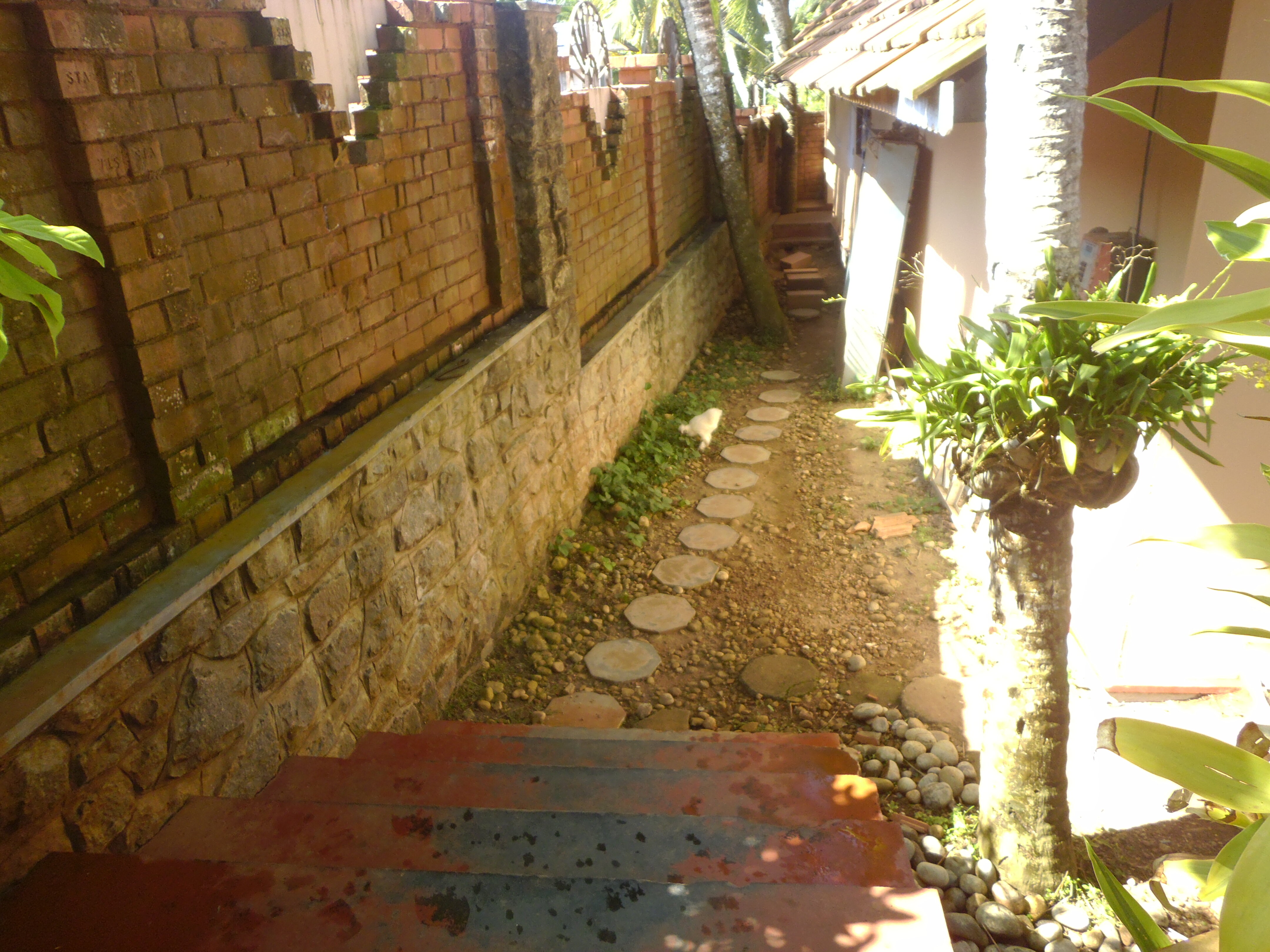 Фото Thapovan Heritage Home