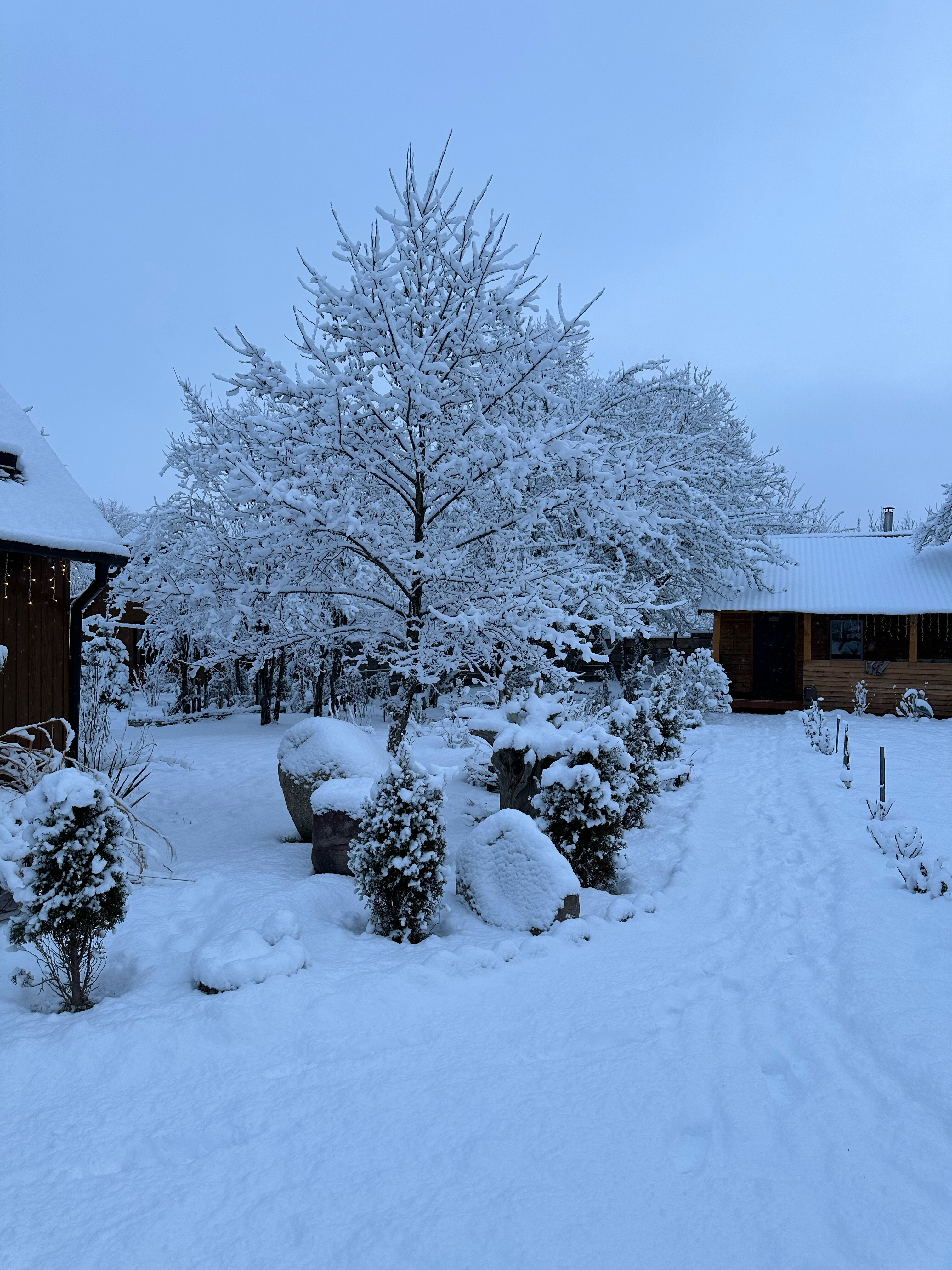 Фото Медвежий угол