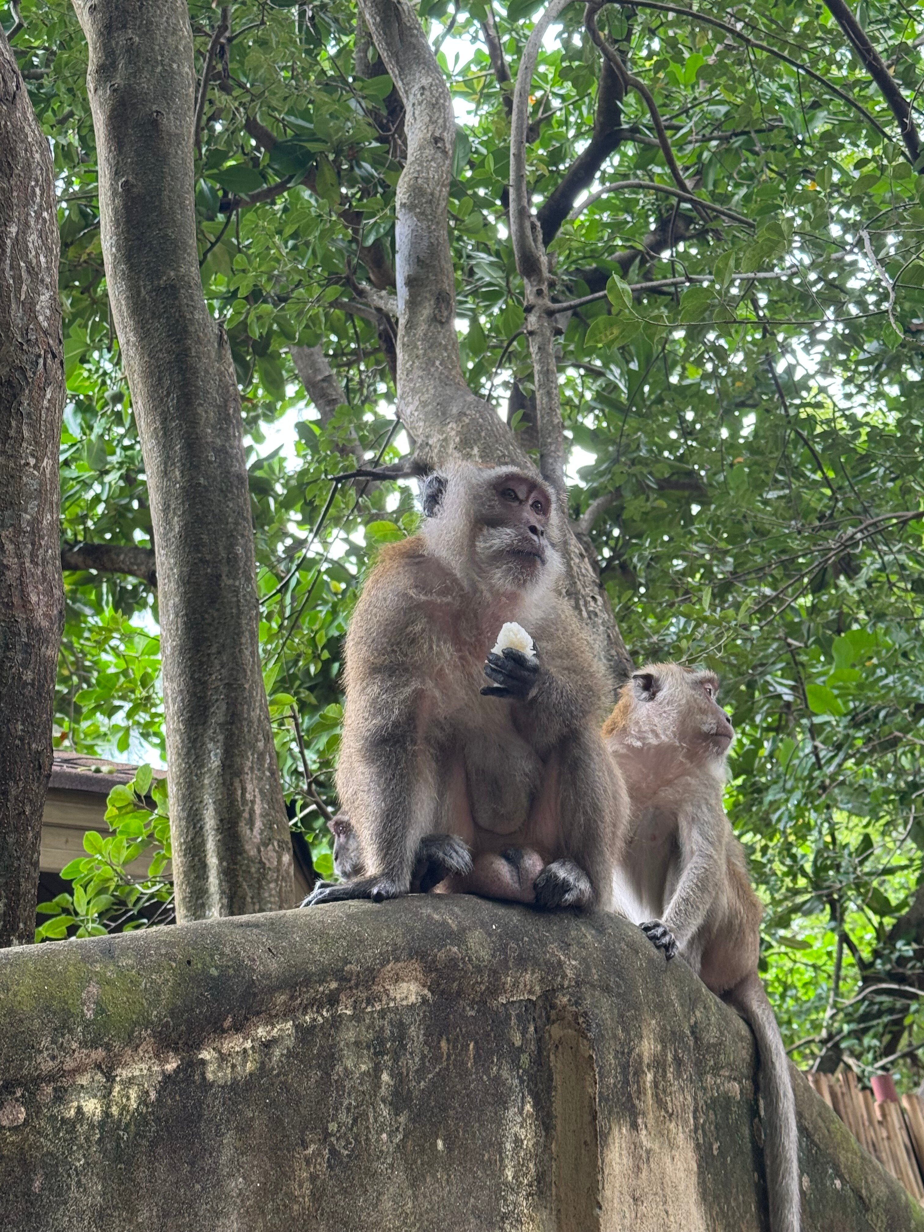 Фото Railay Bay Resort and SPA