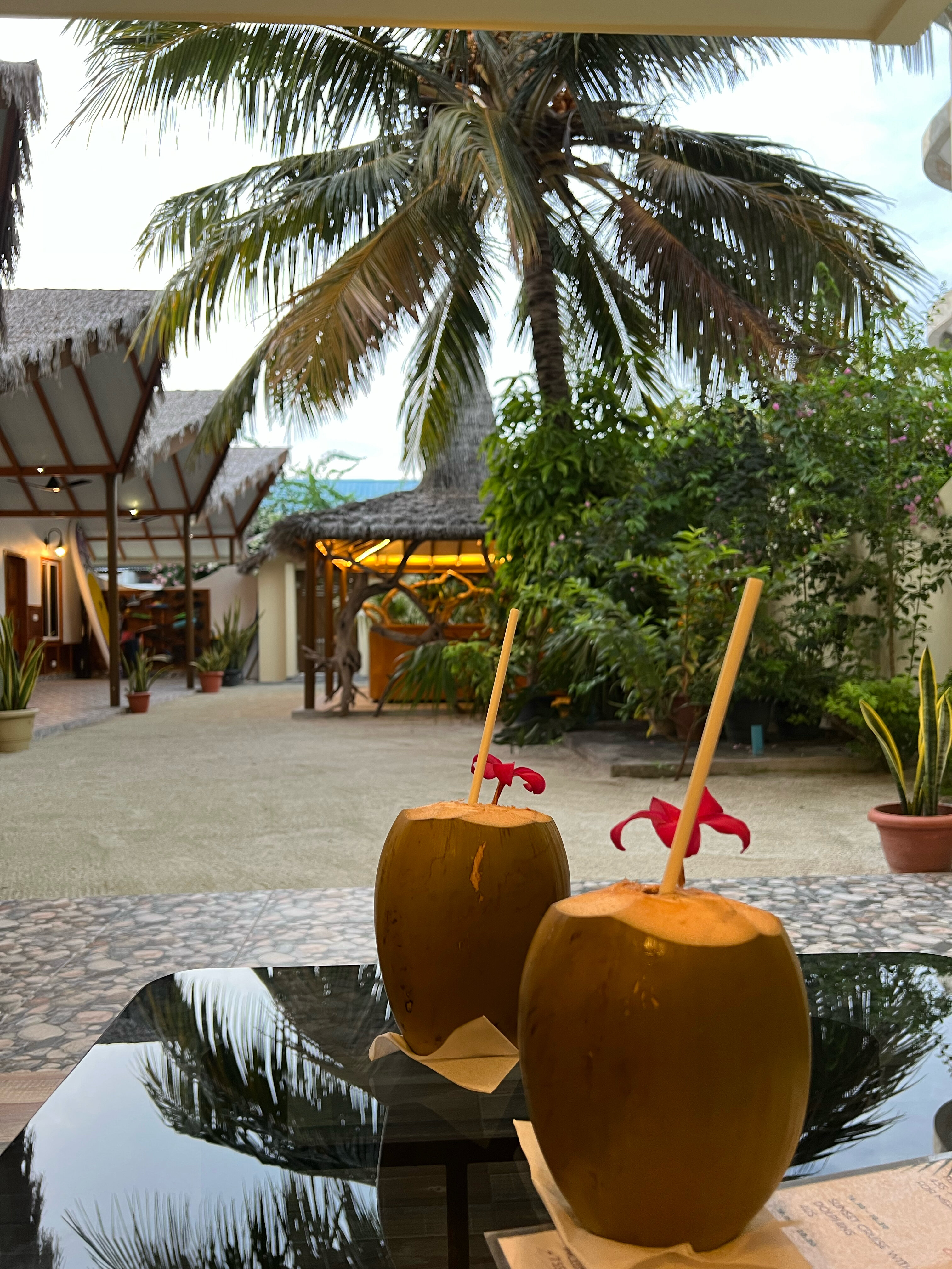 Фото Relax Residence 