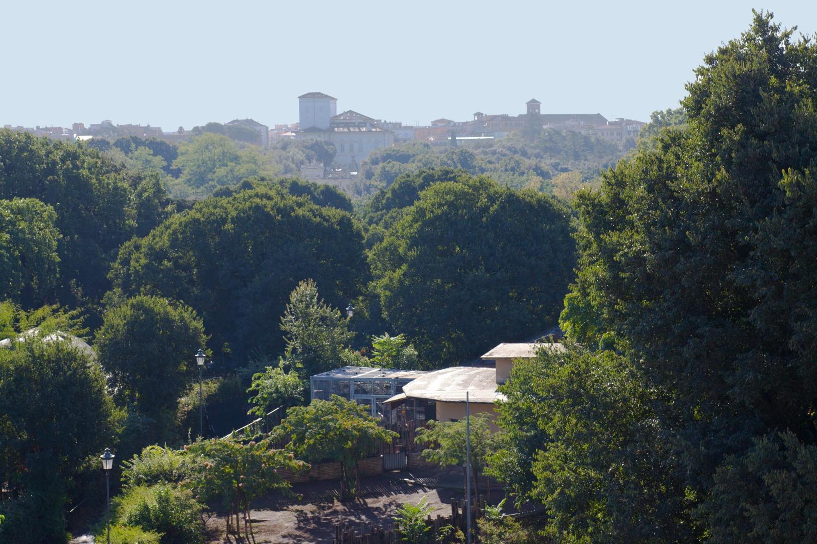 Фото Aldrovandi Residence City Suites