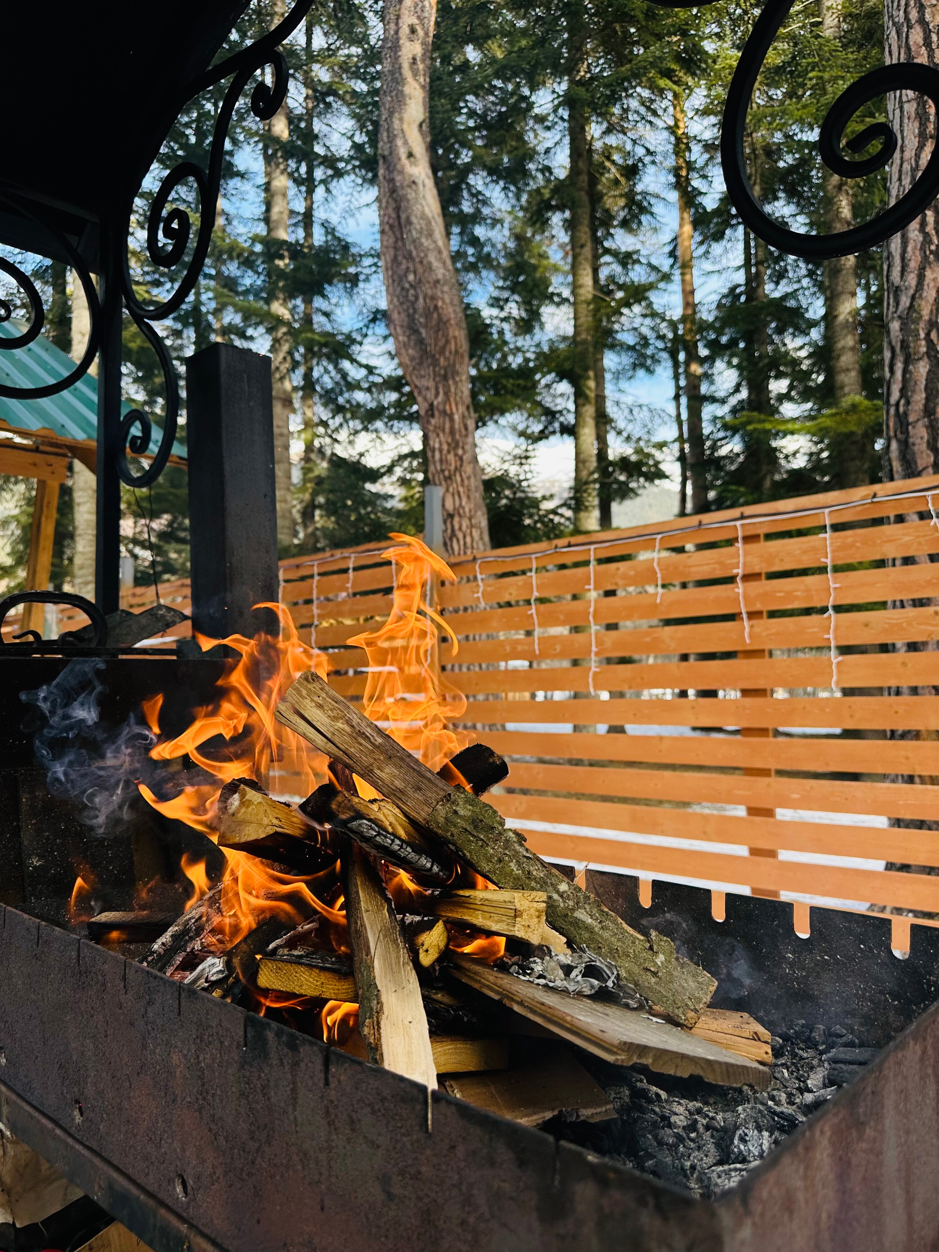 Фото Пихтовый парк