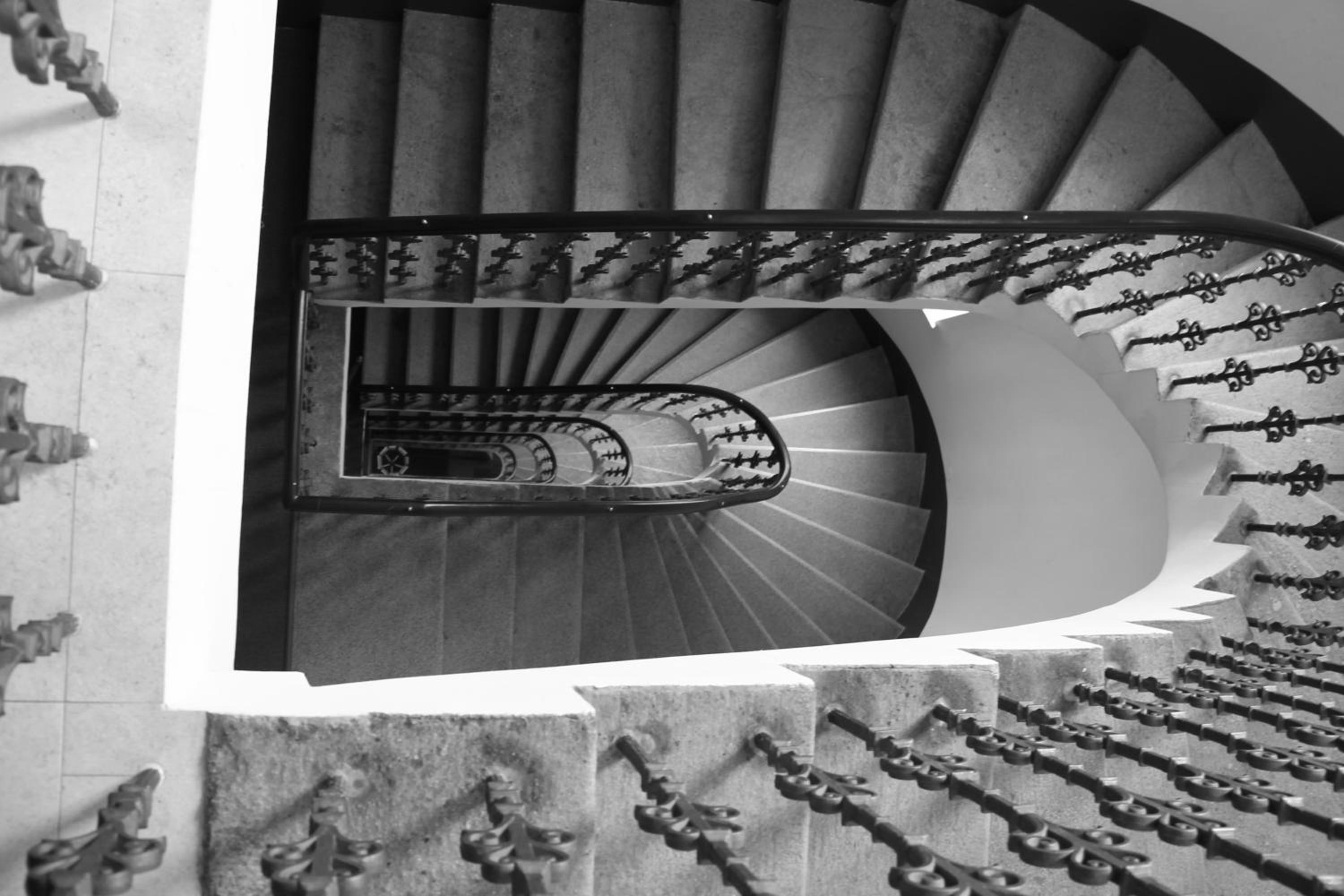 Фото Trevi Hotel