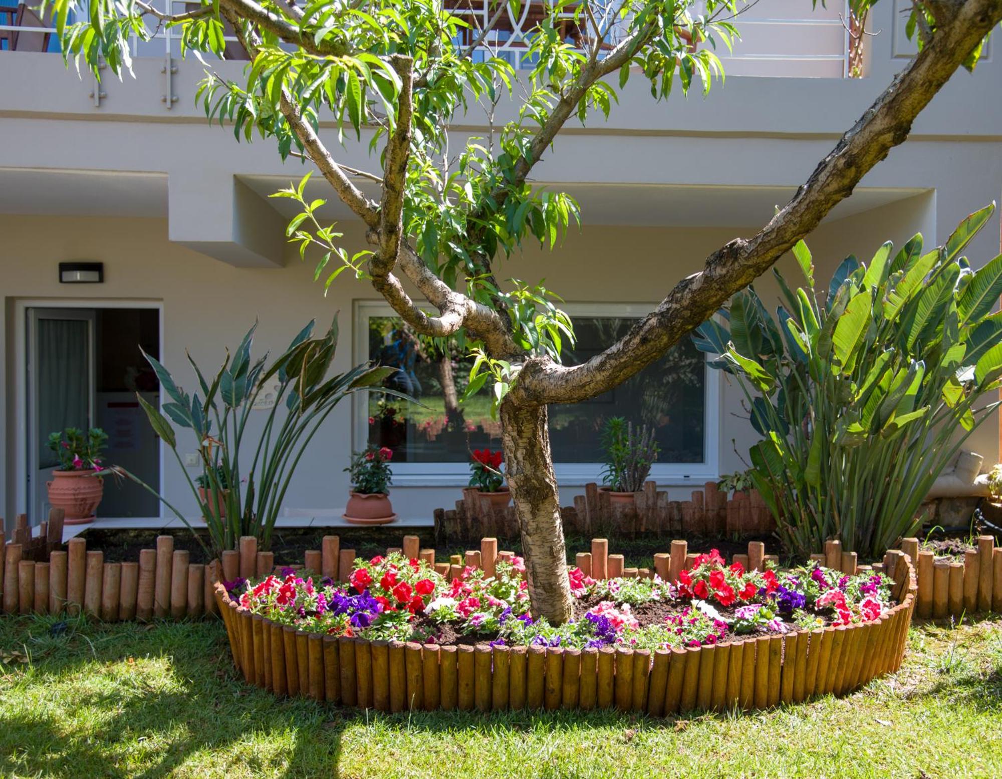 Фото Stamatakis Boutique Studios