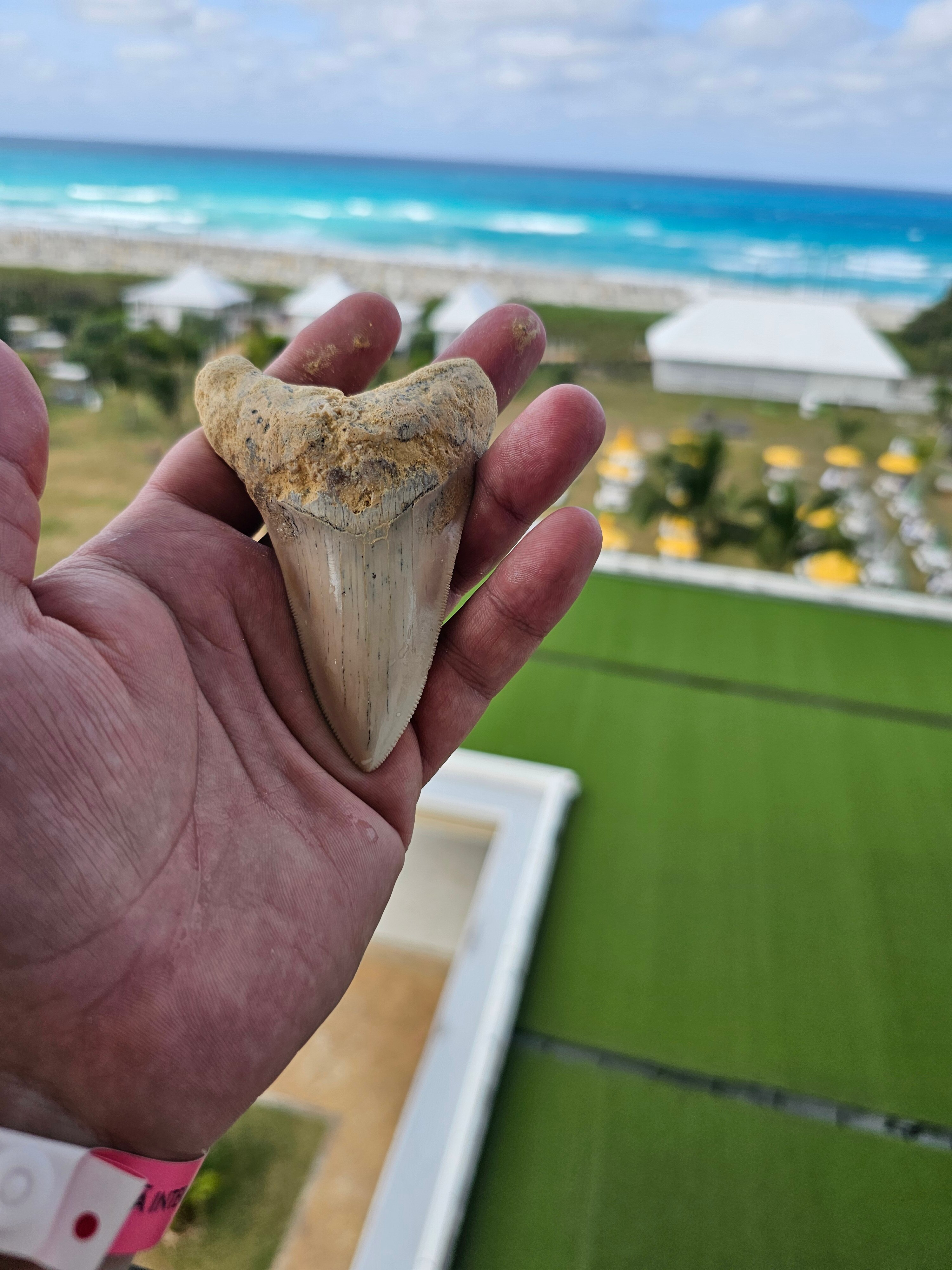 Фото Melia Internacional