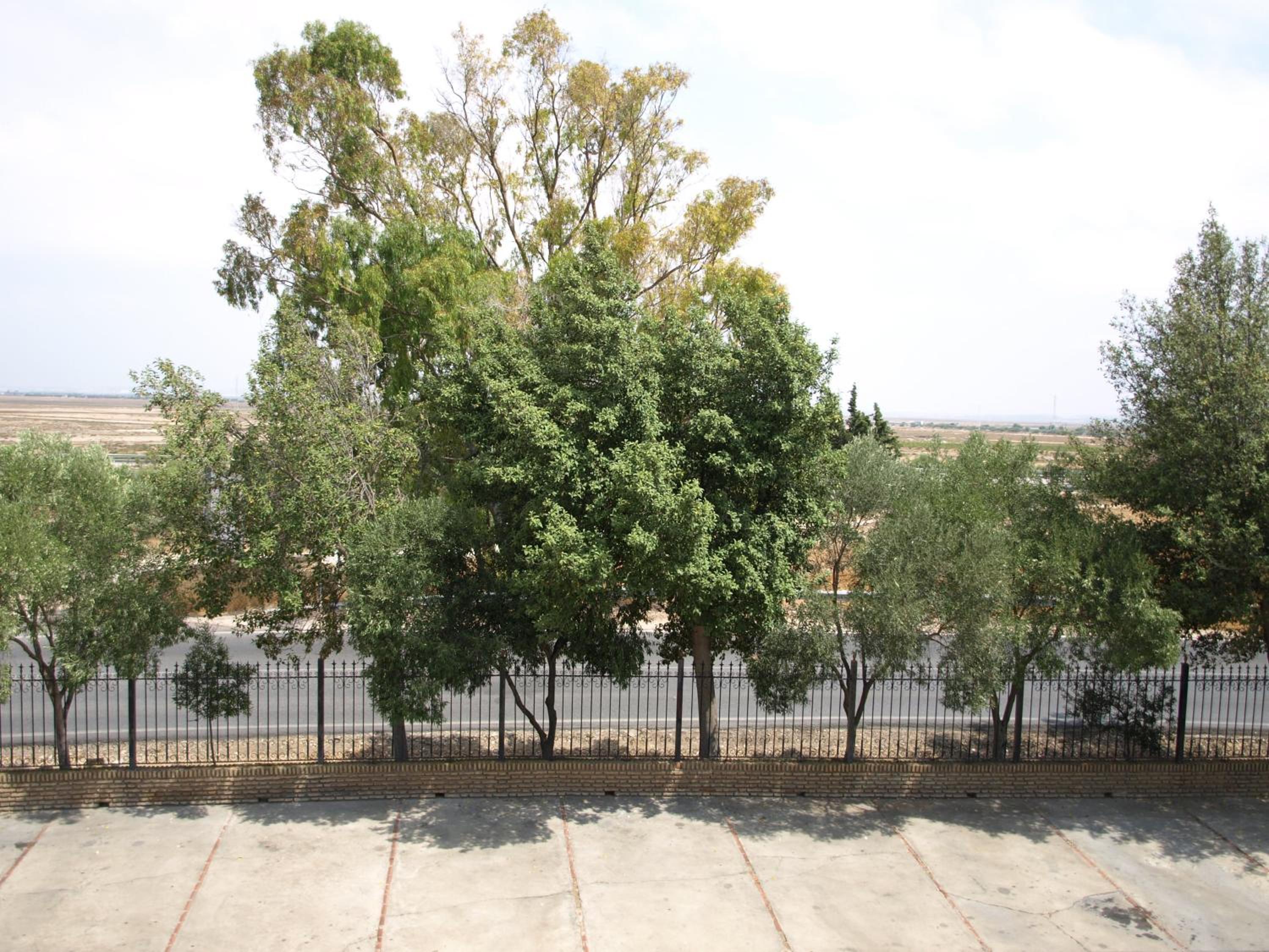 Фото Hotel Caballo Negro