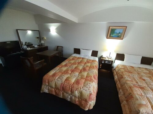 Гостиница Hotel New Plaza Kurume в Саге